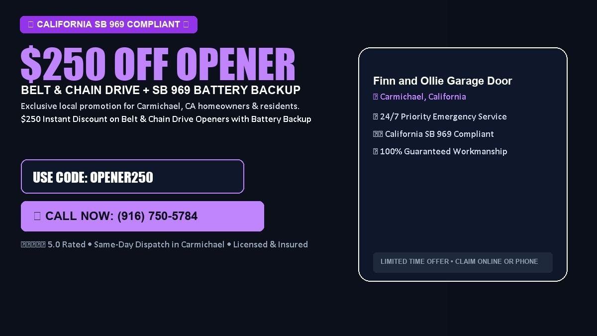 Finn and Ollie Garage Door Service $250 OFF Premium LiftMaster Opener Installation in Carmichael, CA